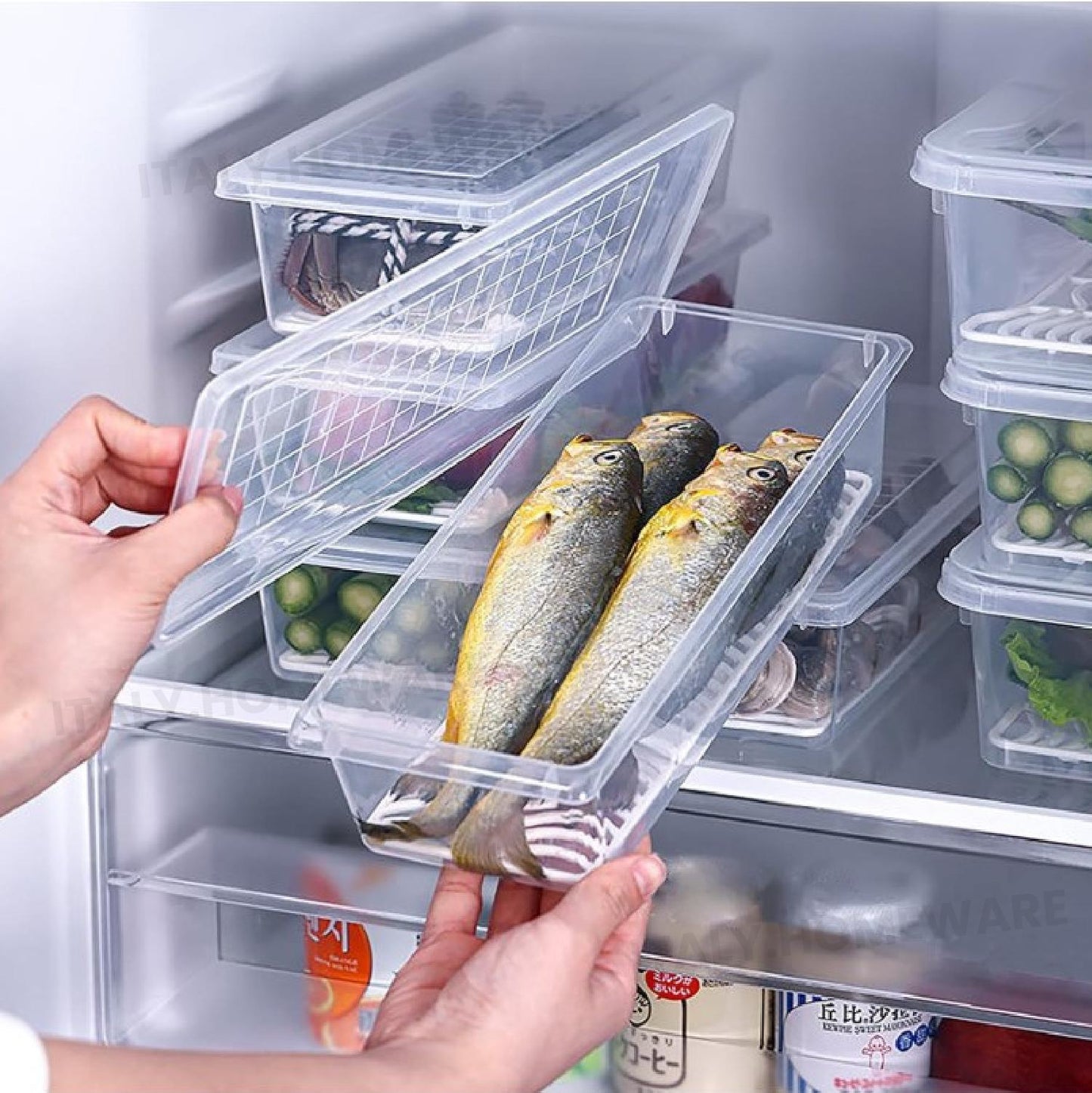 Organizer Do Lodówki Z Wyjmowaną Tacką Odpływową & Szczelnie Zamykanymi Pokrywkami, Pojemniki Do Lodówki Utrzymują Owoce I Warzywa Świeższe, Pojemność (1500 ML)