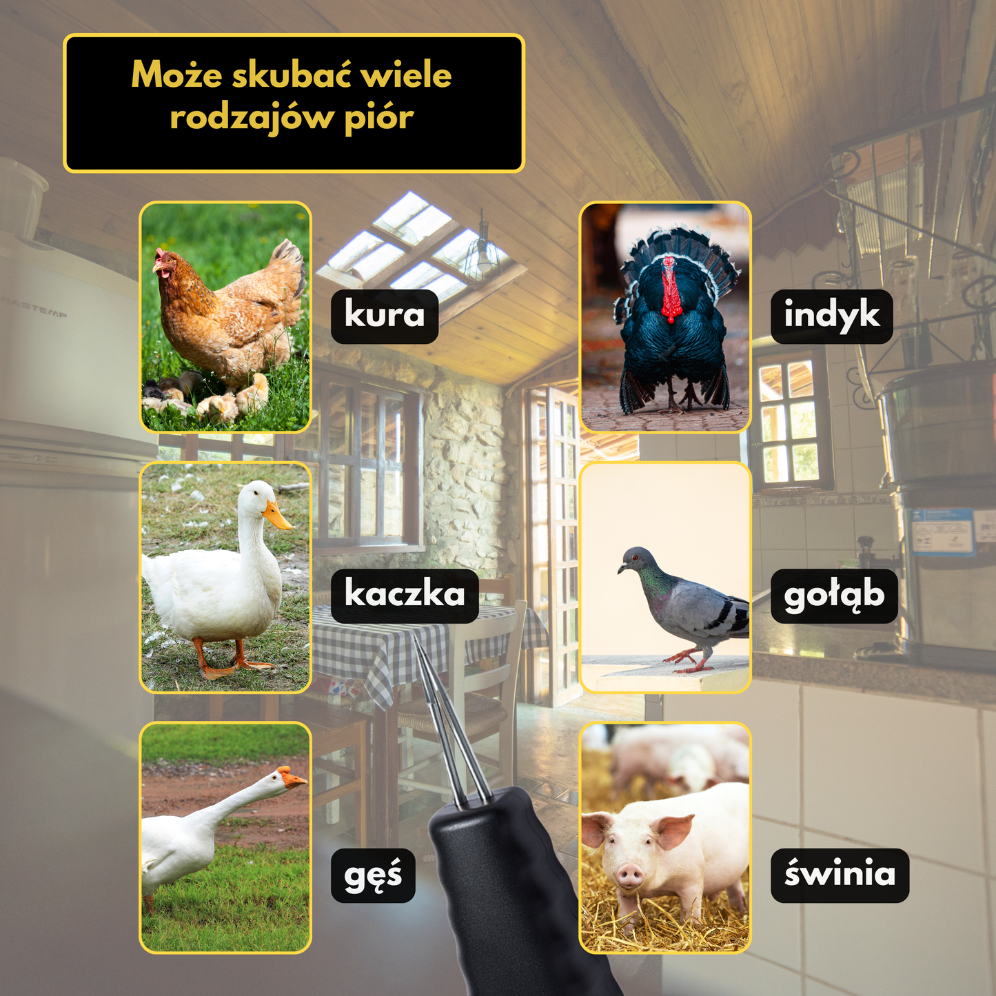 Przenośna skubarka do drobiu – usuwa wszystkie pióra w kilka minut