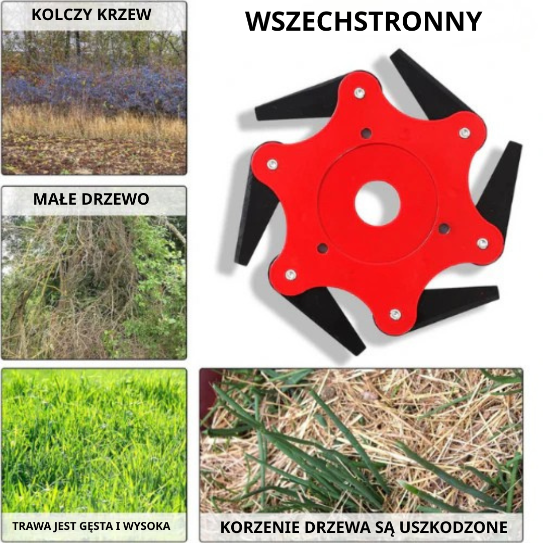 Ostrze Do Trawnika Z 6 Stalowymi Zębami (Akcesoria W Zestawie)