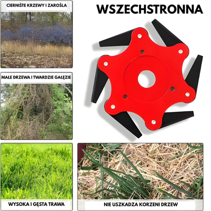 Ostrze do trawnika z 6 stalowymi zębami (akcesoria w zestawie)