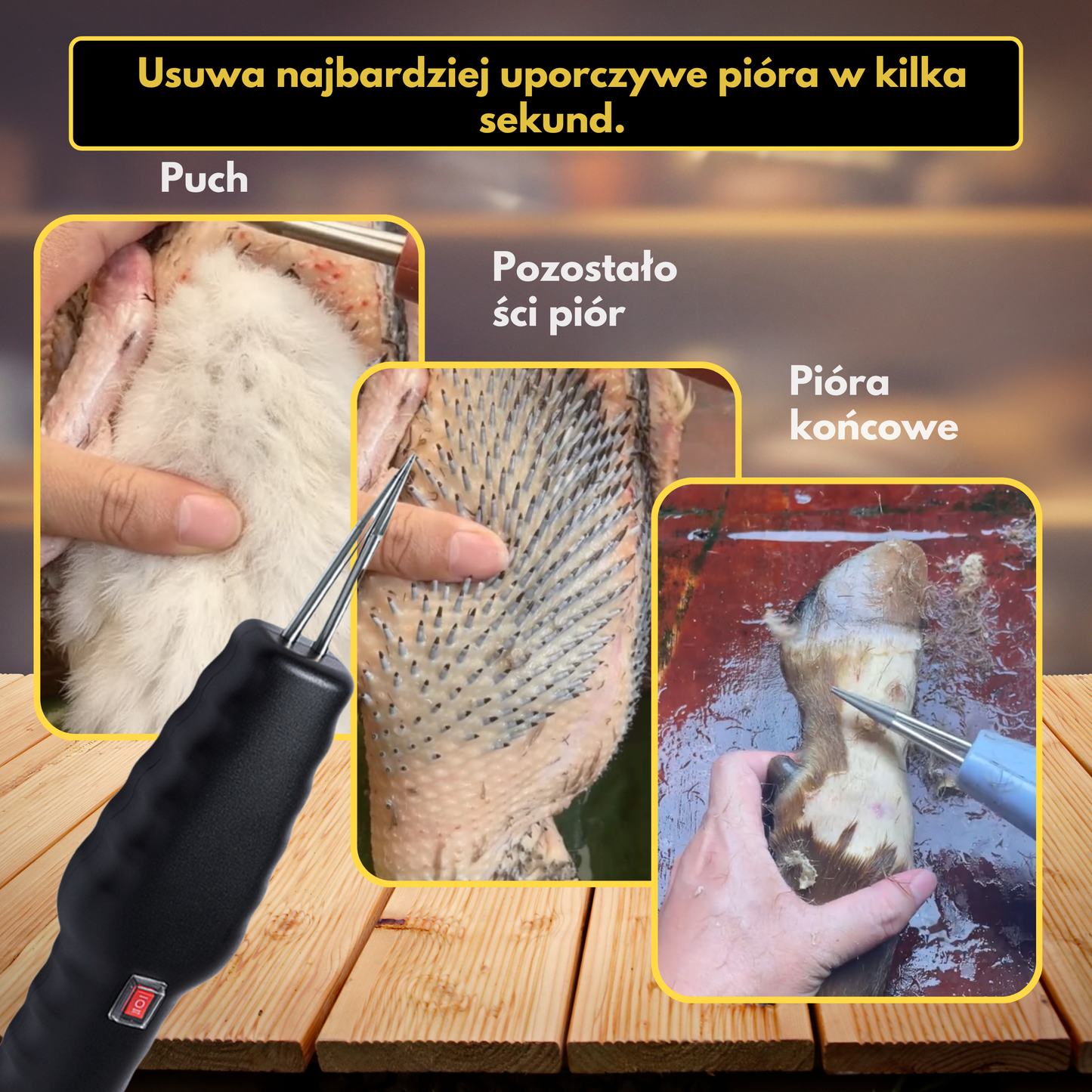 Przenośna skubarka do drobiu – usuwa wszystkie pióra w kilka minut